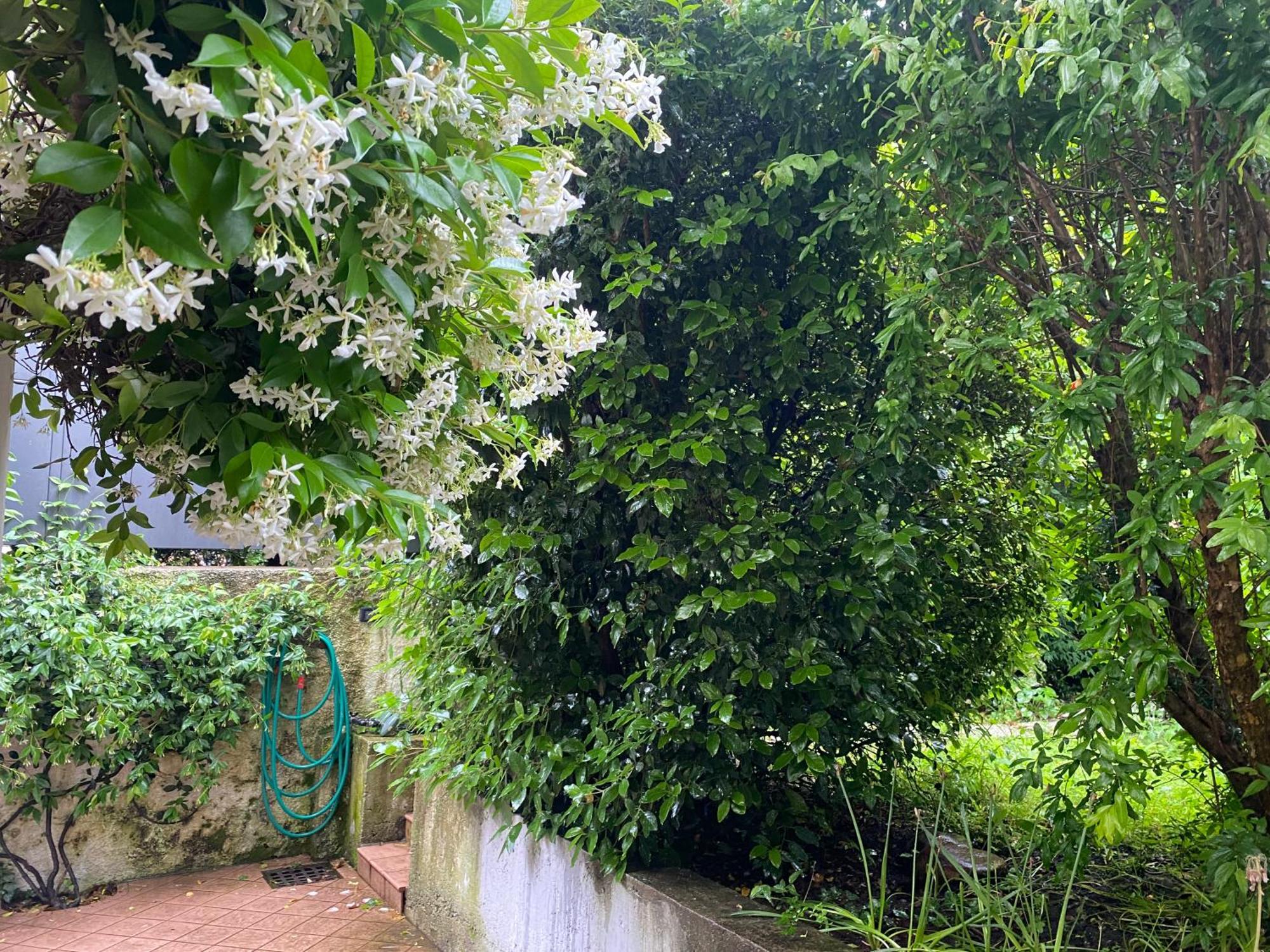 טרנטו L'Angolino Apartment מראה חיצוני תמונה